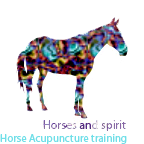 Horse acupuncture